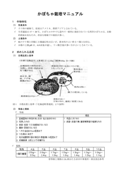 かぼちゃ栽培マニュアル