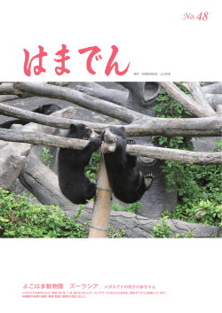 よこはま動物園 ズーラシア メガネグマの双子の赤ちゃん