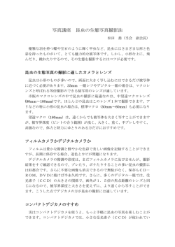 写真講座 昆虫の生態写真撮影法