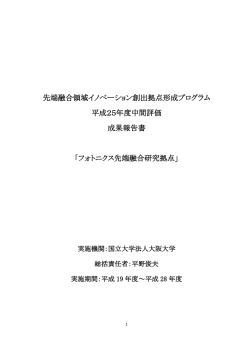 先端融合領域イノベーション創出拠点形成プログラム 平成25年度中間