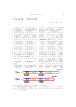 藻類の光受容体 &minus;最近の知見から