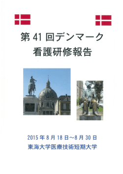 2015年度 41thﾃﾞﾝﾏｰｸ看護研修報告書