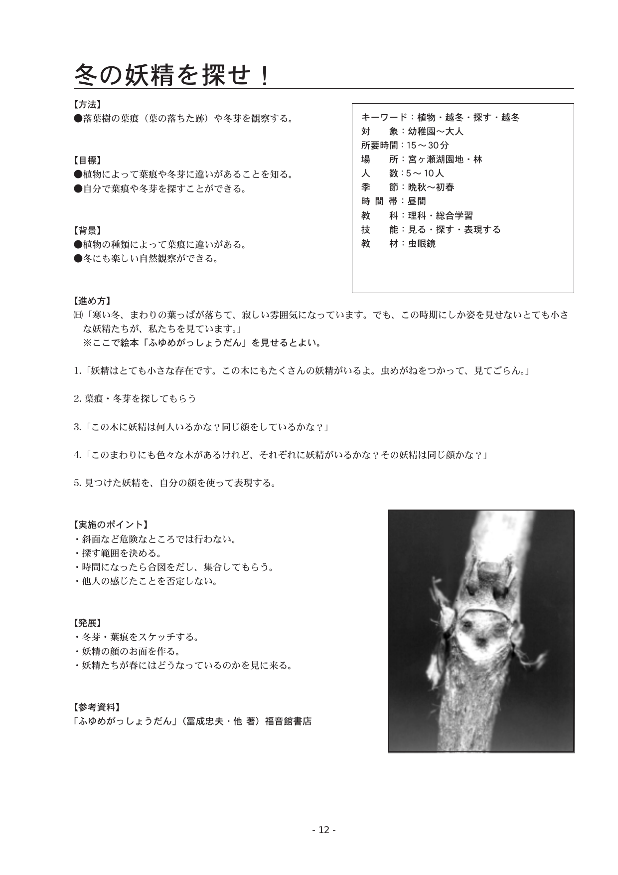 冬の妖精を探せ