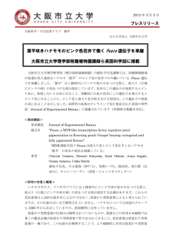 源平咲きハナモモのピンク色花弁で働く Peace 遺伝子を単離 大阪市立