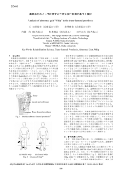 異常歩行ホイップに関する三次元歩行計測に基づく検討 Analysis of