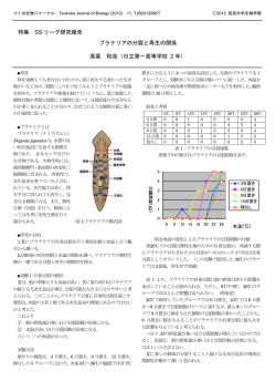 プラナリアの分裂と再生の関係 - 生物学類