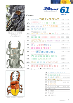 目次ページ見本