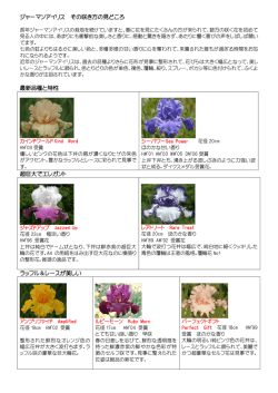 ｼﾞｬｰﾏﾝｱｲﾘｽの種類・育て方