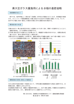黒大豆ガラ大量施用による水稲の基肥省略