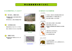 野生鳥獣による被害を防止するためには (pdfファイル)