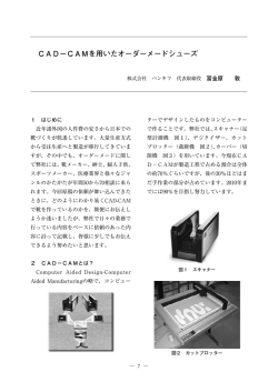 CAD&minus;CAMを用いたオーダーメードシューズ