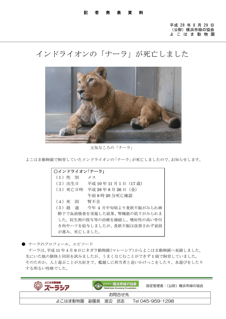 インドライオンの ナーラ が死亡しました