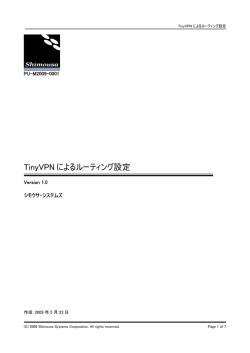 TinyVPN によるルーティング設定
