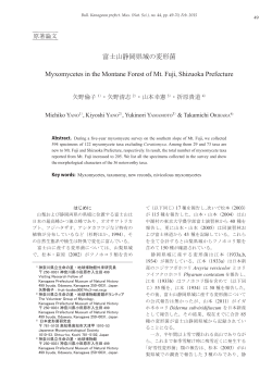 本文PDF - 神奈川県立生命の星・地球博物館