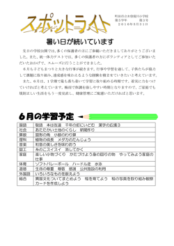 暑い日が続いています