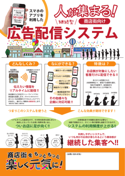 広告配信システム 広告配信システム