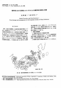 福井県における野生ニホンザルによる