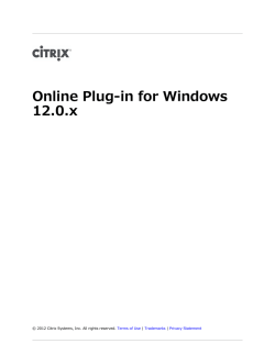Online Plug-in for Windows 12.0.x