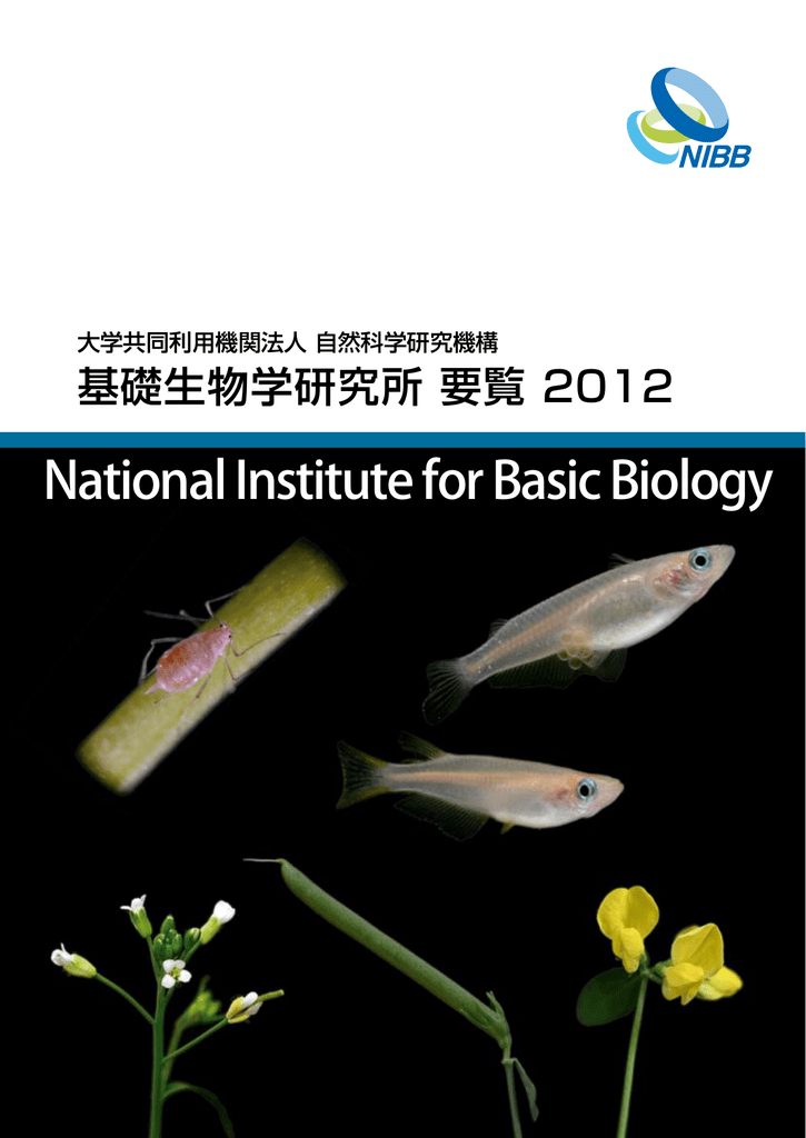 多様性生物学研究室 基礎生物学研究所