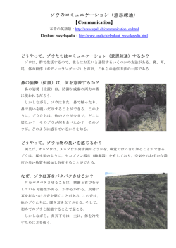 ゾウのコミュニケーション（意思疎通） 【 】 Communication