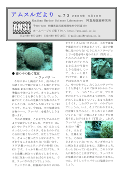 海の中の動く花束 - AMSL 阿嘉島臨海研究所