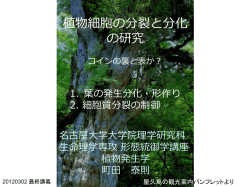 植物細胞の増殖と分化