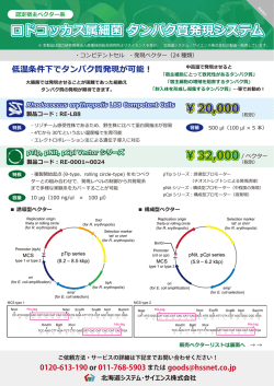 ロドコッカス属細菌タンパク質発現システム ロドコッカス属細菌タンパク質