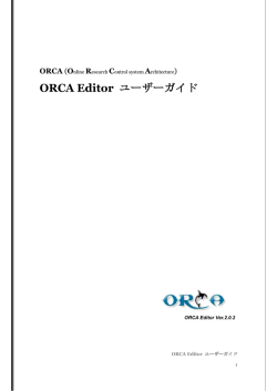 ORCA Editor ユーザーガイド