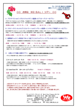 お得な 半日 BALI ツアー - ダイビングツアー専門旅行会社ワールド