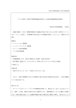 調査報告書（PDF 246KB）