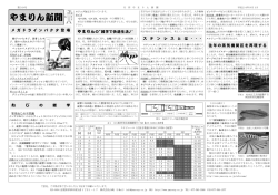 やまりん新聞 - ねじの山崎