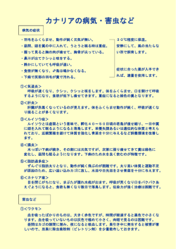 カナリアの病気・害虫など