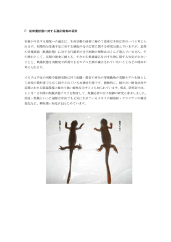 F: 低栄養状態に対する適応制御の研究 栄養が不足する環境への適応は