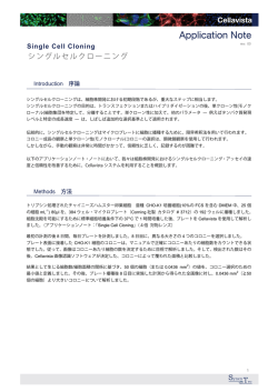 シングルセルクローニング