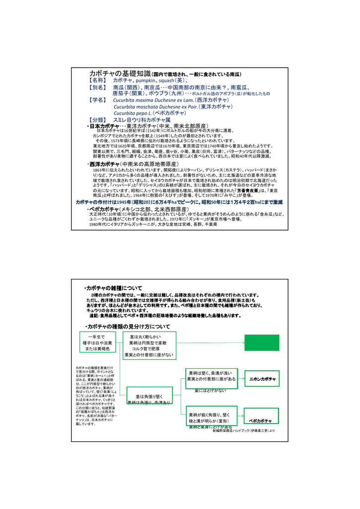 資料 カボチャの基礎知識 Pdf