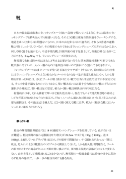 07靴