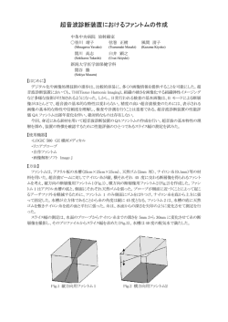 88 - 日本放射線技術学会 東北部会