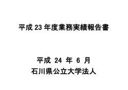 業務実績報告書（PDF）