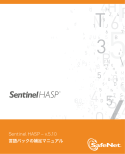 Sentinel HASP Envelope