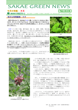 今月の特集： クズ