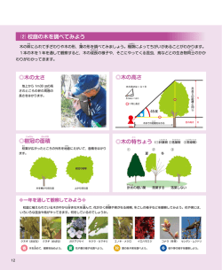 12から13ページ 校庭の木、プールの生き物（PDF：949KB）