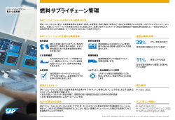 Solution Summary Template for LoB / Technology