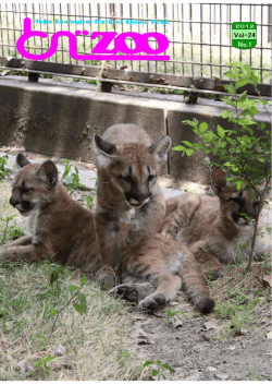 Untitled - 愛媛県立とべ動物園