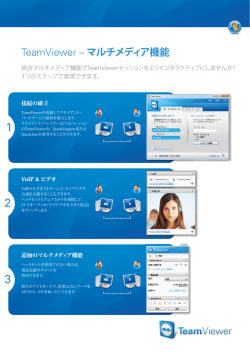 TeamViewer &ndash; マルチメディア機能