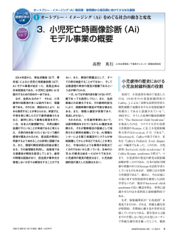 3． 小児死亡時画像診断（Ai) モデル事業の概要