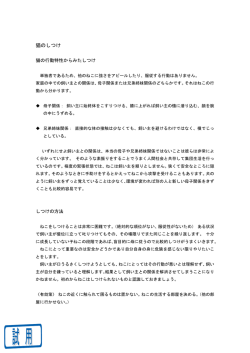 猫のしつけ