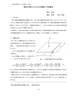 弾性平板の大たわみ問題の FEM 解析