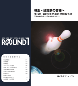 第29期 第2四半期累計期間報告書