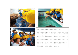 1年生は松島水族館に写生に行きました。 本物の生き物を見たり、魚に