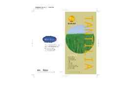 2002.10／11月号（424k）